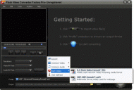 Flash Video Converter Factory Pro screenshot